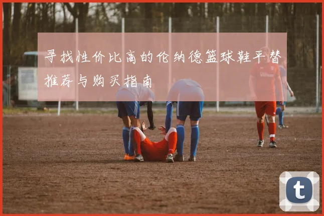 寻找性价比高的伦纳德篮球鞋平替推荐与购买指南