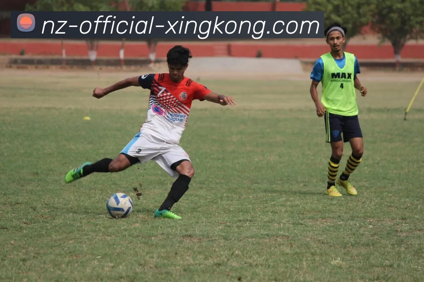 星空官网APP 体育赛事宣传图